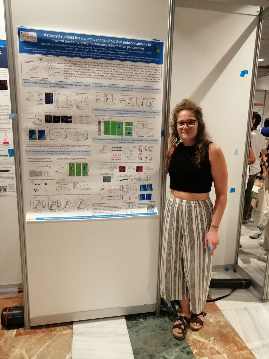HNPdivulga1's tweet photo. Y @MartaZaforas está a tope!!!
Ahora ha presentado en #IBRO2023 los resultados de los astrocitos sobre la modulación de la actividad de la red neuronal en la corteza somatosensorial.
@SENC_ @HNParaplejicos @idiscam #somatosensorycortex #astrocytes #neuronalactivity https://t.co/2U1VuywCLx