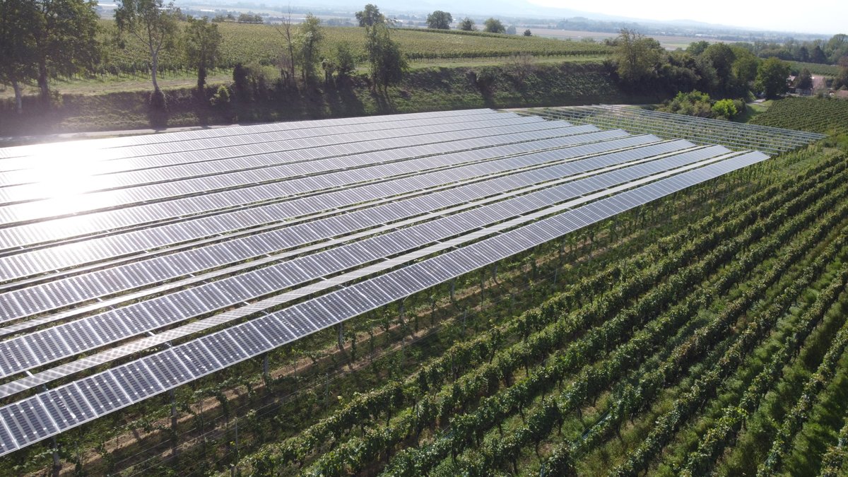 balkonsolar's tweet photo. Dann mal die Gelegenheit genutzt mit der #Drohne über die #VinoPV Anlage in #Munzingen bei #Freiburg zu fliegen und Bilder zu machen. Das natürlich in standesgemäßer Kleidung.
Infos: https://t.co/55jqBdarhR
#mavicmini #flightsuit #overall #agripv #dronephotography #Energiewende https://t.co/2IbaD9RUec