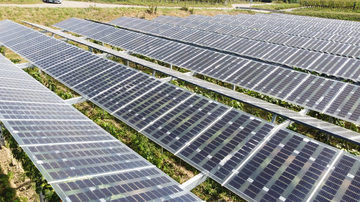balkonsolar's tweet photo. Dann mal die Gelegenheit genutzt mit der #Drohne über die #VinoPV Anlage in #Munzingen bei #Freiburg zu fliegen und Bilder zu machen. Das natürlich in standesgemäßer Kleidung.
Infos: https://t.co/55jqBdarhR
#mavicmini #flightsuit #overall #agripv #dronephotography #Energiewende https://t.co/2IbaD9RUec