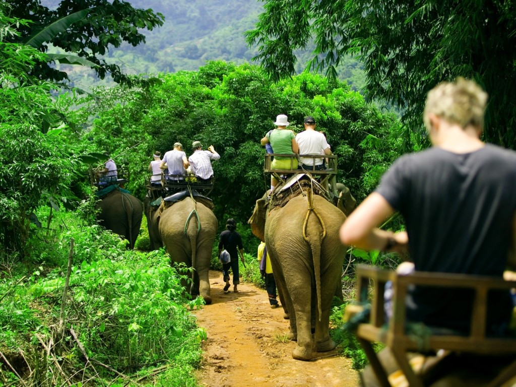 RocketBirdTrave's tweet image. Enjoy your stay in Phuket and Explore this amazing combo tours.
#ELEPHANTTREKKINGTOUR🐘🐘
#MONKEYSHOW🙈, 🙉, 🙊
#SNAKESHOW 🐍 🐍
Enjoy wonderful Elephant Trek tour at Safari Camp
enjoy your next stop with Thailand’s wildlife with monkeys
learn about diffident kinds of snakes