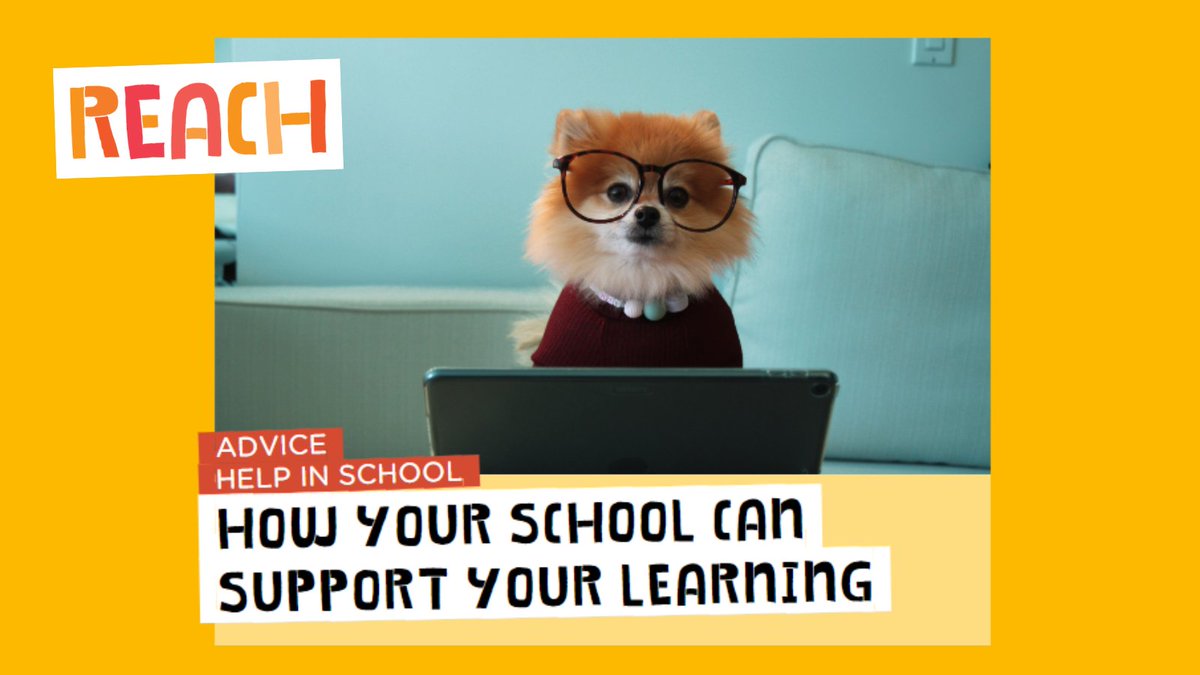 Reach can help pupils find out about the different ways their school can support with their learning 📚💻🙂 Find out more 👇 reach.scot/advice/school-… #SupportPlanning #Education #ASN #WorkingTogether