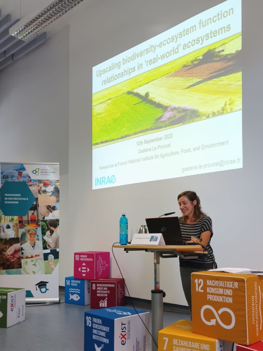 INRAE_SAVE (@inrae_save) on Twitter photo Rentrée studieuse: aujourd'hui Gaëtane Le Provost donne un cours pour la summer school sur le thème de la #biodiversité à l'université de Geisenheim <a href="/hsgeisenheim/">HochschuleGeisenheim</a> ! Rentrée studieuse: aujourd'hui Gaëtane Le Provost donne un cours pour la summer school sur le thème de la #biodiversité à l'université de Geisenheim <a href="/hsgeisenheim/">HochschuleGeisenheim</a> !
