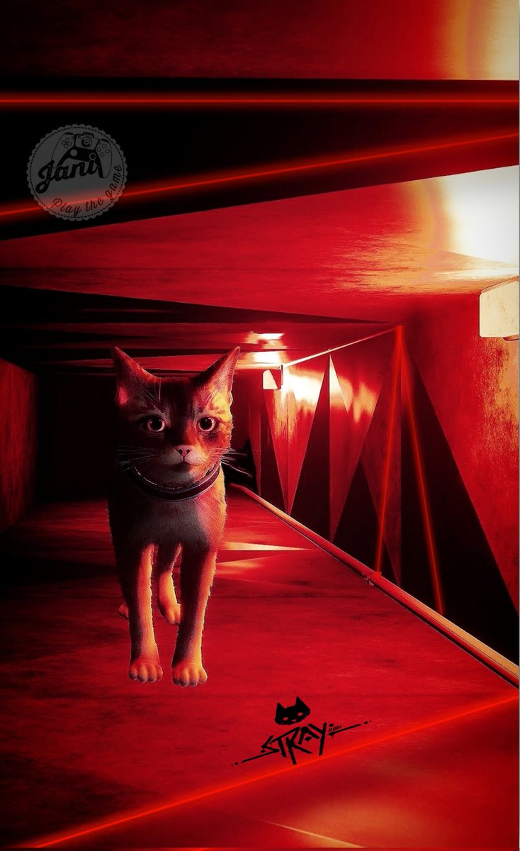 JaniPlaythegame's tweet photo. @HKdevblog
@A_i
@PlayStation

#kptur #kpturcorp #kpturapp
#gaming #noPhotoMode #PlayStation5 #gamer #vp #VPGamers #stray
#straygame #gaming #Cat https://t.co/Oj3qhW7ZFS