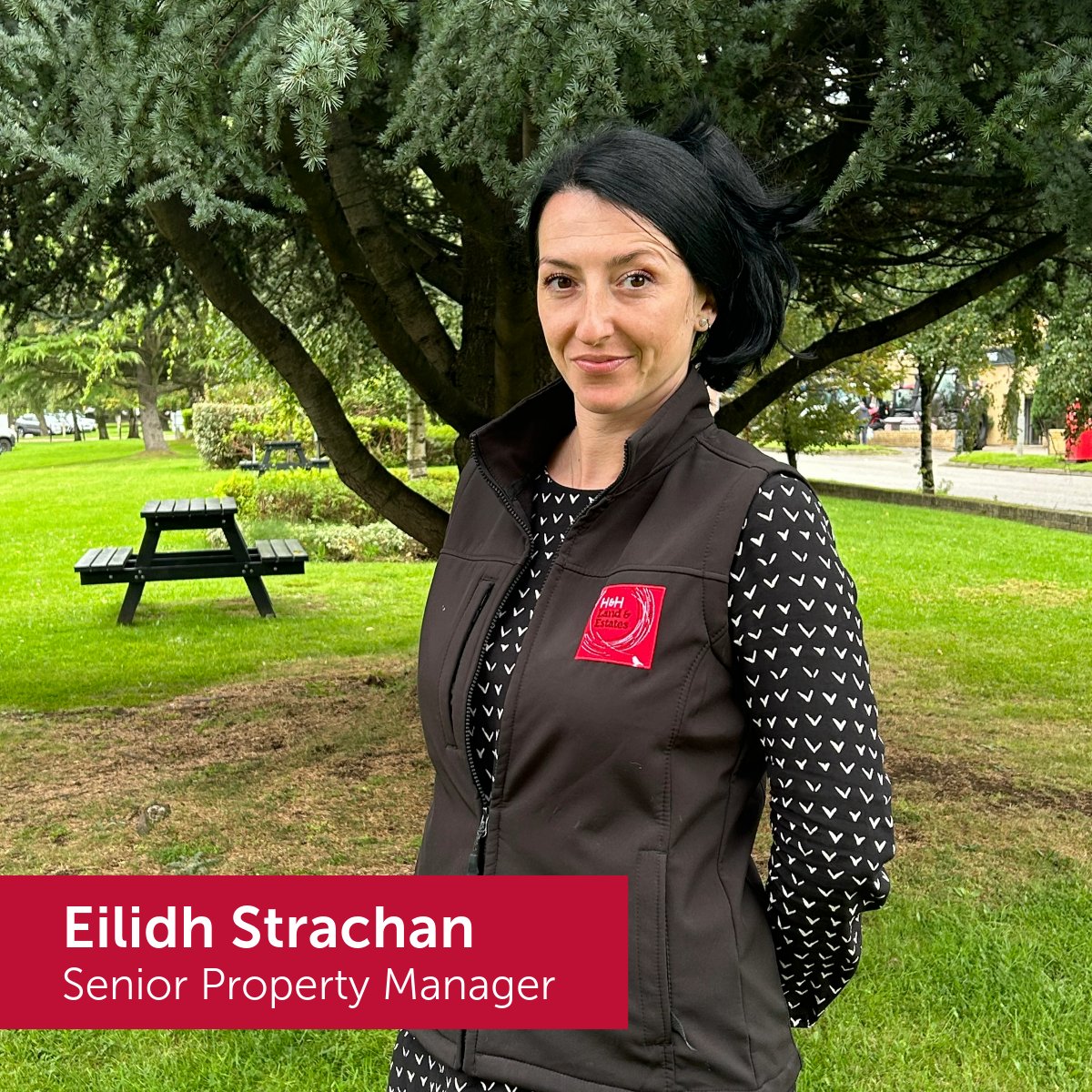 🌟 We've brought in some fantastic new additions to our H&amp;H team in the past few weeks 🌟

Say hello to our recent new additions to the team.

We're thrilled to have them on board! 🎉 #TeamHandH #TeamExpansion #HHLandEstates