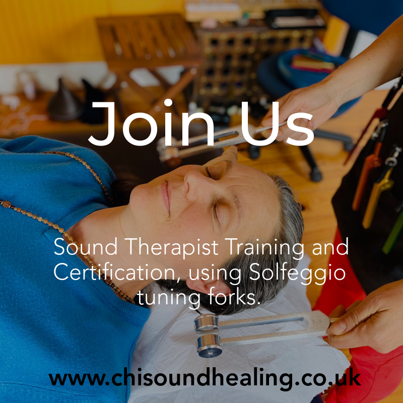 ChiSoundHealing's tweet photo. Sound Therapist Certification/Training 21/22 October at https://t.co/zFB9A3art9 in London UK. 12 hours theory and practical.
https://t.co/Vis4fSRPYM
#soundhealingcertification #soundhealingtraining #soundhealingschool #trainasasoundhealer #learnsoundhealing https://t.co/Nse26XW4FM