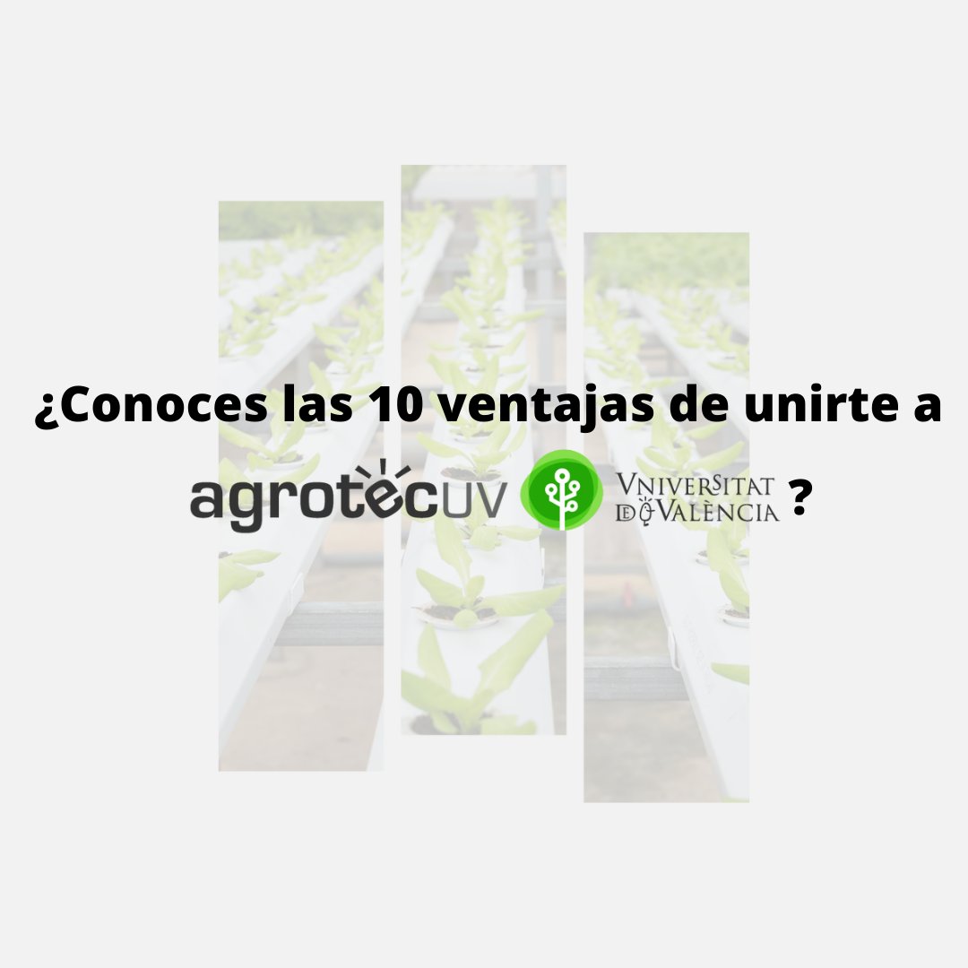 Ahora que hemos abierto la 2a convocatoria de <a href="/agrotecuv/">AgrotecUV</a>, vamos a hablar un poquito más sobre ella.
¿Conoces las ventajas de unirte a AgrotecUV?
Te las vamos contamos!!
🪡 a continuación 👇