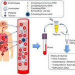 Photo by Journal of Cancer Research and Immuno-Oncology (@immunooncol)