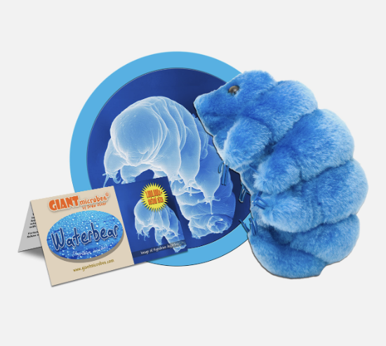 Cooper6Sms's tweet photo. This year, the Cooper 6 team is focusing on #Resilience. From designing the sturdiest LEGO Towers to devising a PBIS currency system, our students are demonstrating grit and perseverance.  We even have a tardigrade mascot! (Name forthcoming) https://t.co/HIBV8cpbSQ