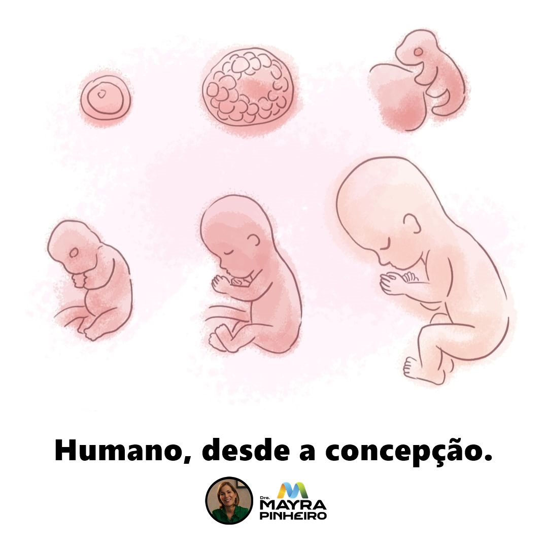 Bebês são humanos desde a concepção.