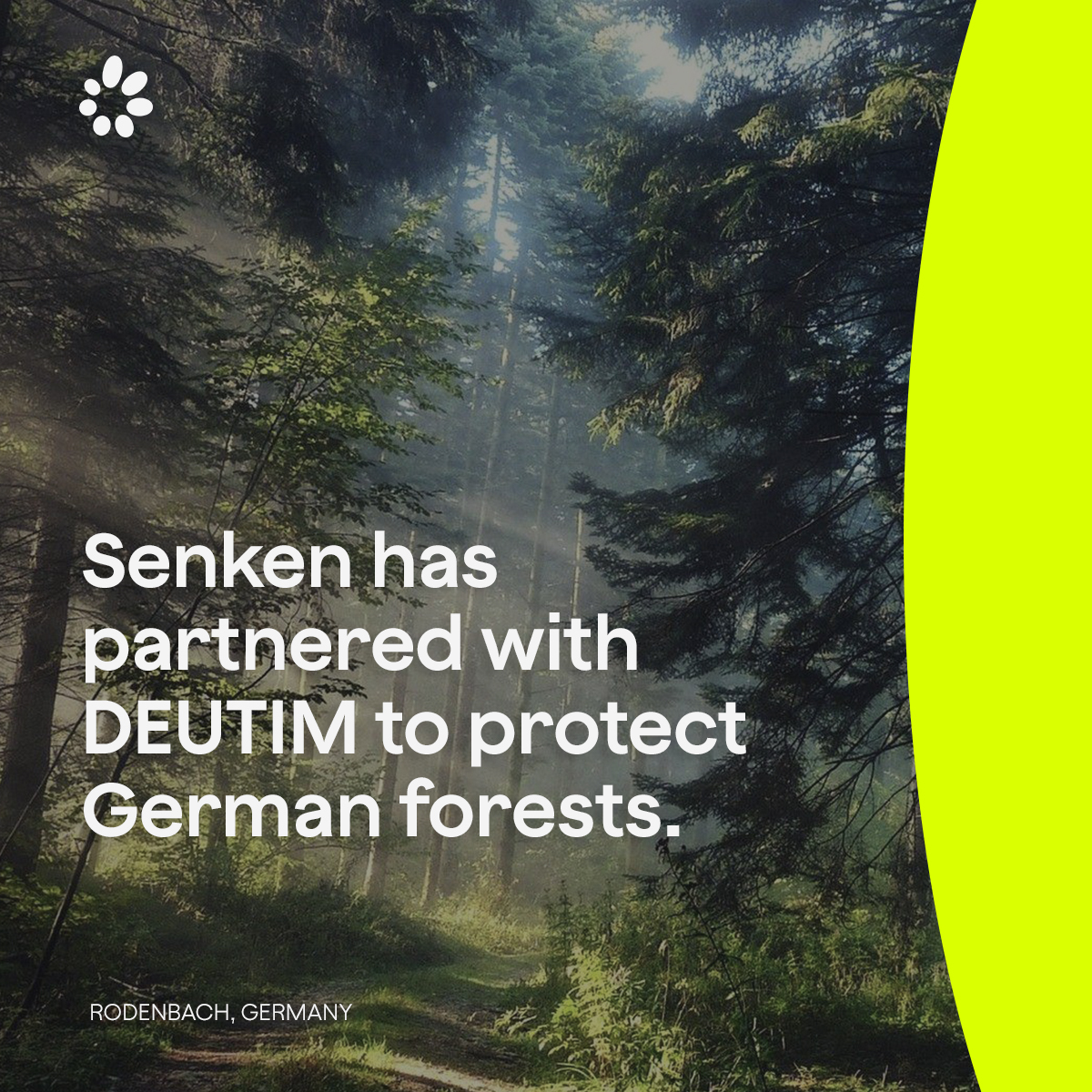 We’re partnered with DEUTIM to accelerate funding for the protection of German forests! This is especially exciting for our German audience who can now take part in climate protection on their own soil! Find out more👇 blog.senken.io/company-update…