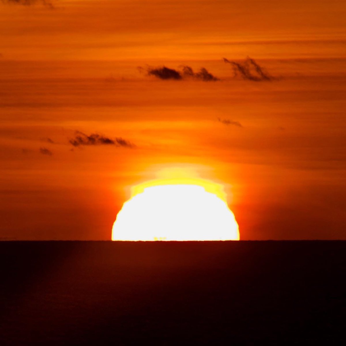 Ryan Bailey tweet media