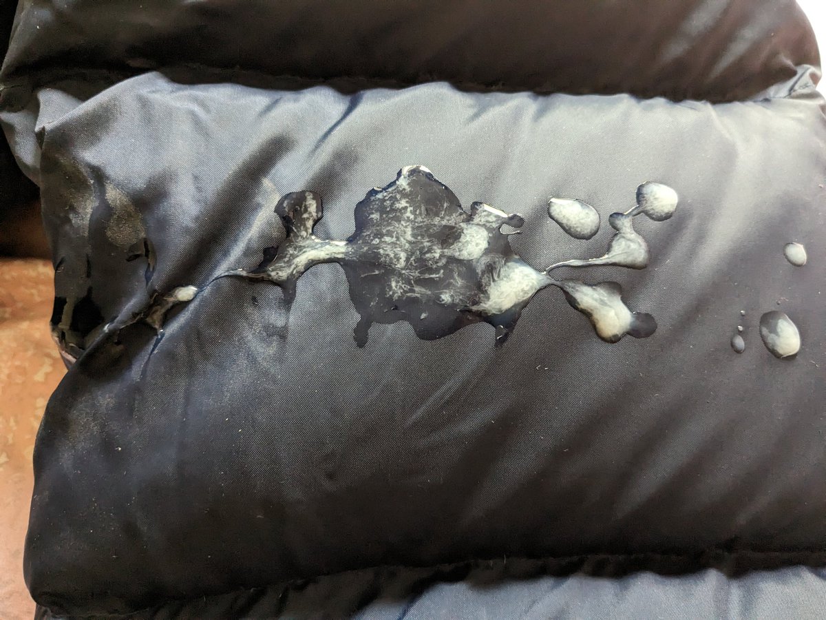 DavidMedvedev7's tweet photo. This jacket made me cum all over her 💦 https://t.co/VBOnJ84E7U
