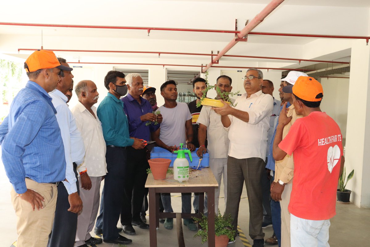 IhtGreaternoida's tweet photo. Potting , Repotting and Bonsai making practical training done by candidates in  Institute of Horticulture Technology.

#gardening #bonsaimaking #nurserytraining #polyhousetraining https://t.co/8s3LfIsJlS