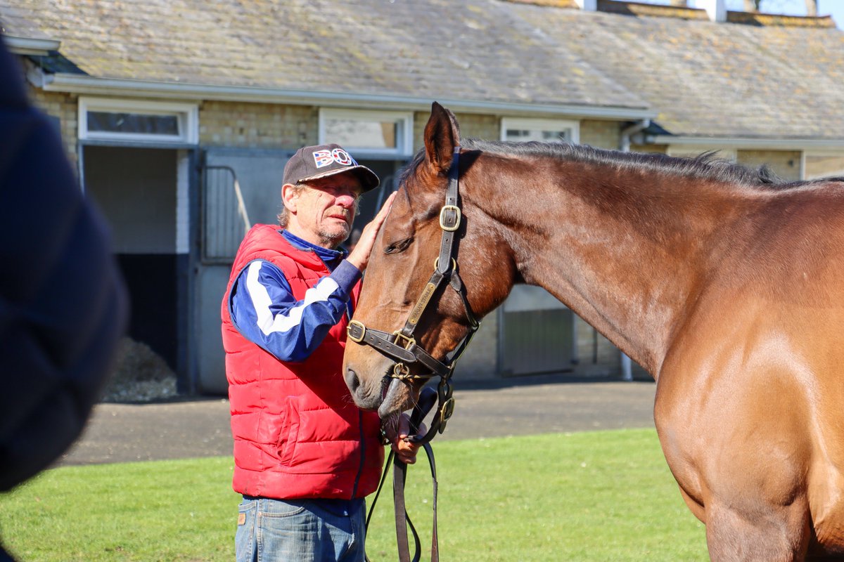 varianstable's tweet photo. Sharing the love for #NationalRacehorseWeek 🥰