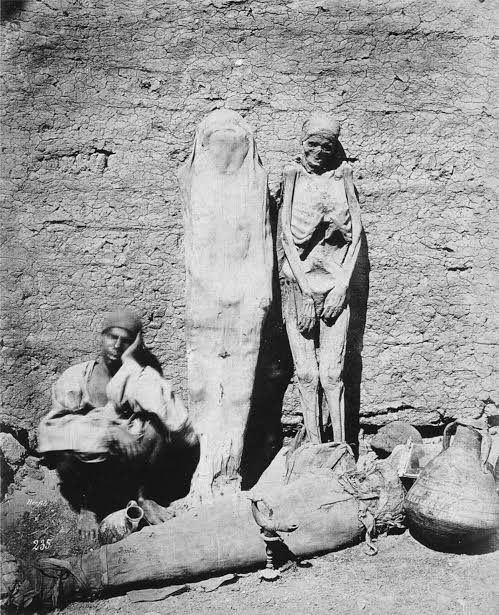 Joe__Bassey's tweet image. Street vendor selling mummies in Egypt, 1865 .

During the Victorian era of the 1800s, Napoleon’s conquest of Egypt threw open the Gates of Egypt’s history for the Europeans. At that time, mummies were not accorded the respect that they deserved from the European elites and in…