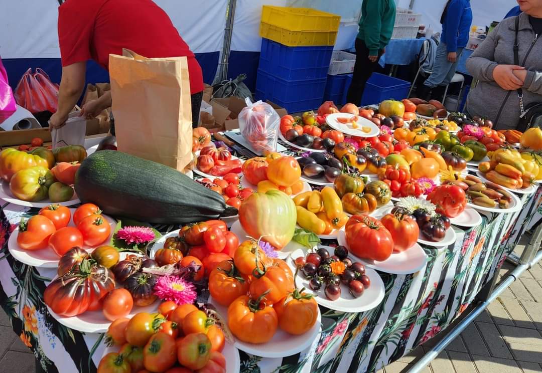Гайхамшигт помидор фистваль. 

                   Орхон аймаг.