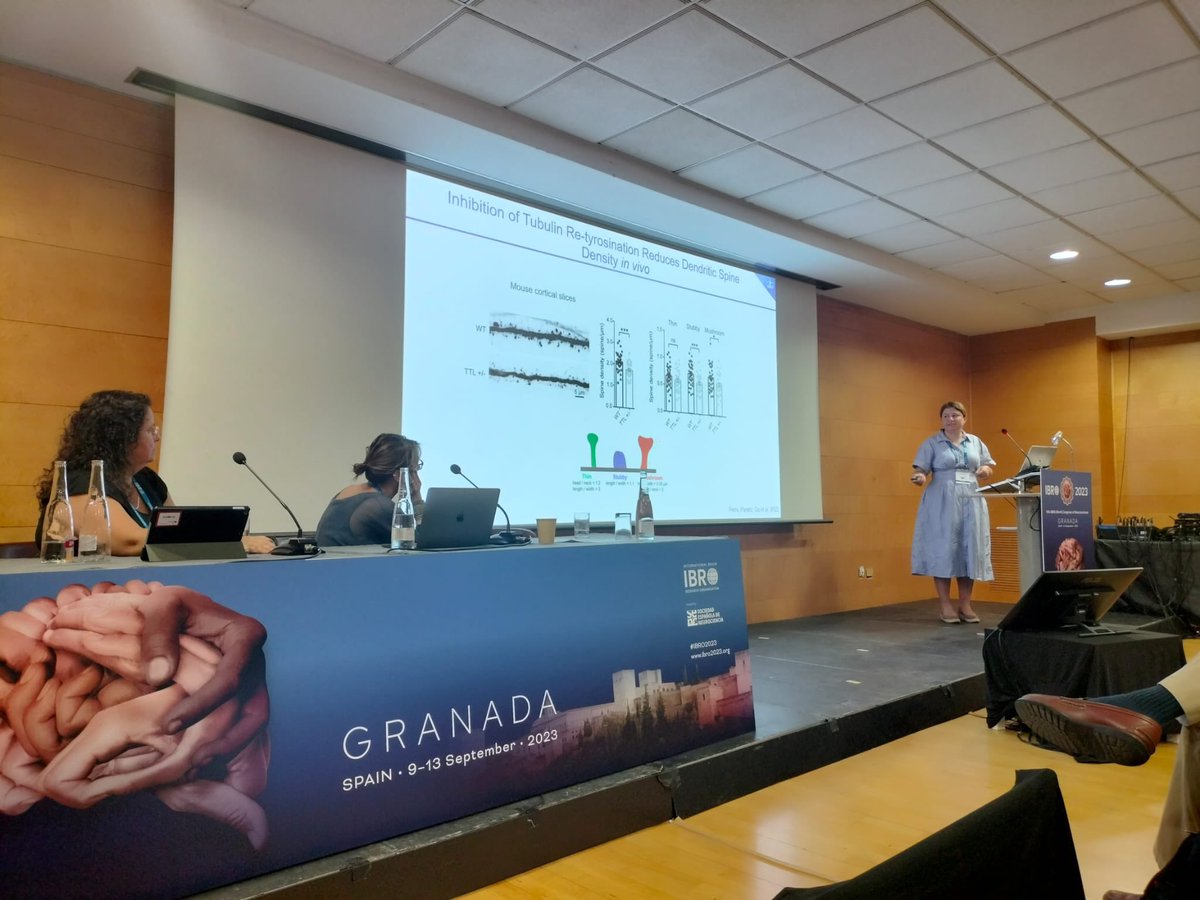 Leticia Peris 🇦🇷🇫🇷 (@peris_leticia) on Twitter photo Very happy to discuss about the new roles of synaptic microtubules in heath and disease at the #IBRO2023 #microtubule #synapse
with @KapiteinLukas <a href="/BartoliniLab/">Bartolini Lab</a> Erik Dent and Julie Parato Very happy to discuss about the new roles of synaptic microtubules in heath and disease at the #IBRO2023 #microtubule #synapse
with @KapiteinLukas <a href="/BartoliniLab/">Bartolini Lab</a> Erik Dent and Julie Parato