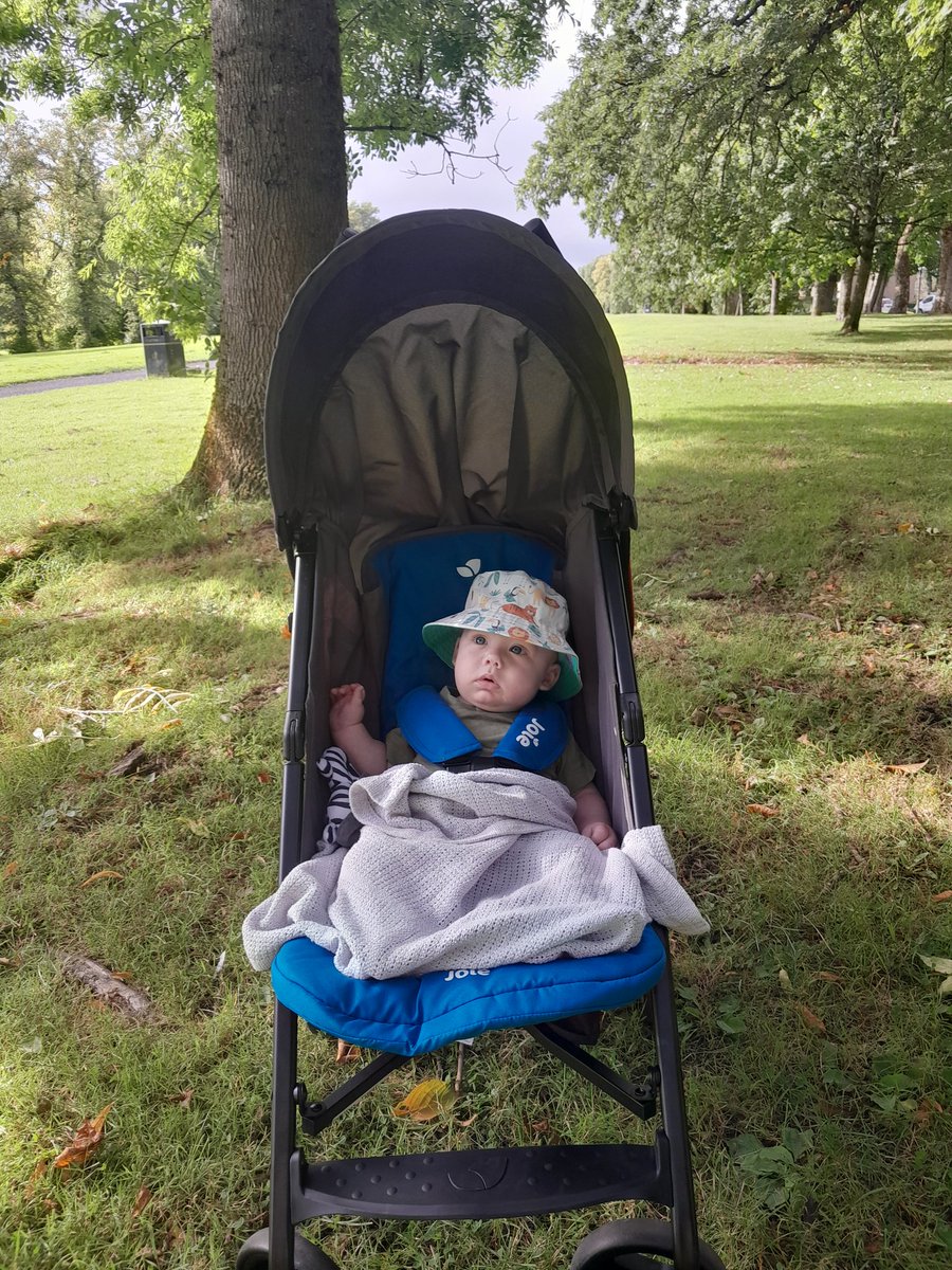 Day13 - finally found a stroller my boy loves! Had the best walk with my 3 babies #100happydays