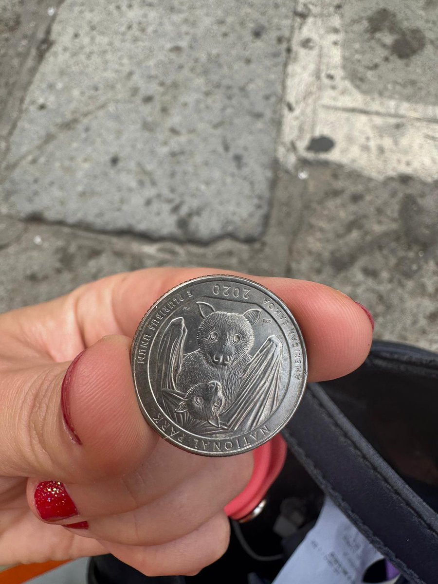 <a href="/BatConservancy/">LubeeBatConservancy</a> <a href="/pabatrescue/">Pennsylvania Bat Conservation and Rehabilitation</a> <a href="/BatsDaily/">Bats Nightly 🇵🇸</a> <a href="/_BCT_/">Bat Conservation Trust</a> <a href="/OccasionalBat/">The Occasional Bat</a> My friend, <a href="/MundaneTragedy/">Mundane Tragedies</a> found this BATTY American Samoa National Park quarter in her change! Isn't it cute?! 🦇🦇