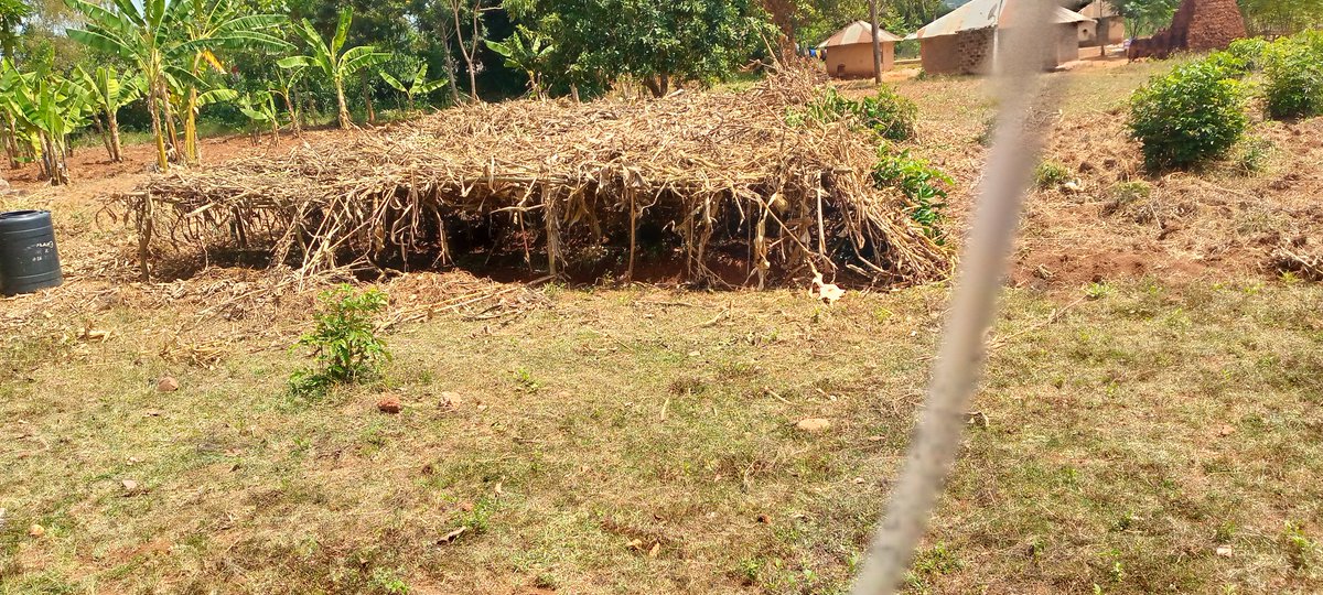 We are all fixated on 1.5C a vital target, but there are pressing dangers that need urgent address, food insecurity,  water scarcity, soil degradation etc all brought on by climate change. Financing locally led adaptation will guarantee stable, sturdy and sustainable communities.