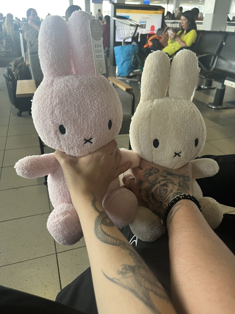 vickypalami's tweet image. despues de 17 horas atrapados aqui estamos al borde de la locura y compramos estos conejos de mierda. 

Sáquenos de aqui 🐀