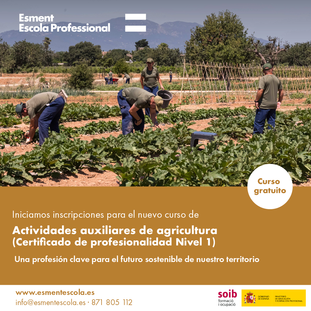 📢📢 ¡¡Últimas plazas disponibles!! 
Inscripción gratuita vía web:   esmentescola.es/formulario-apr…

#Agricultura #CertificadoProfesional #Mallorca