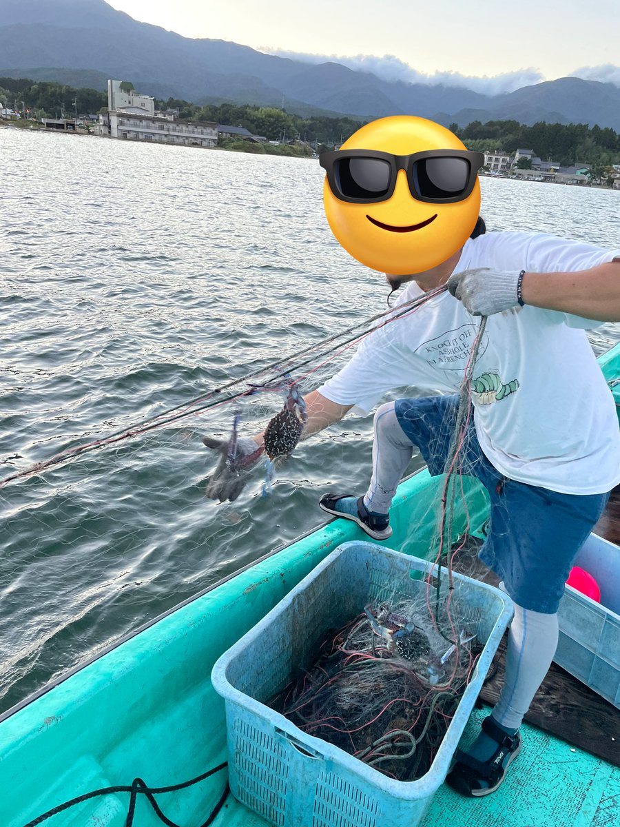 muroingo's tweet photo. 加茂湖で謎の青いカニが大量発生中です！

なお、めっちゃ美味しかったです!!
#謎の青いカニ https://t.co/vA7bnSO7Dd