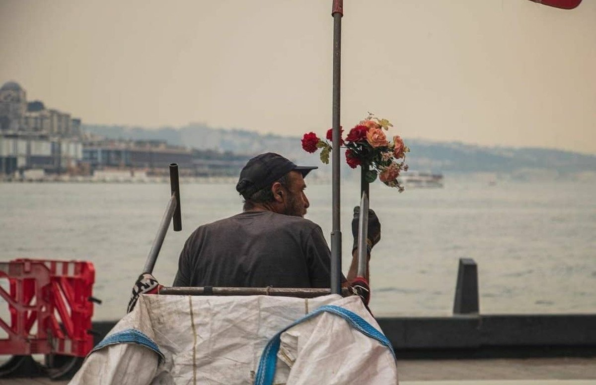 Biraz bahar olalım ve biraz papatya. Bütün özlediklerimiz bizden ayrı yaşıyor. 
içimizdeki balıklar ıslanmıyor.