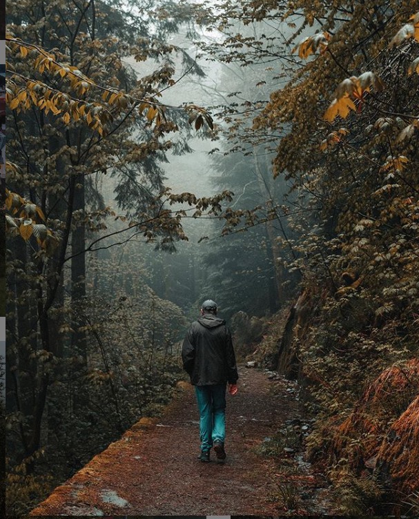 On a grey, foggy day it's easy to feel like you're in a world of your own on one of the seven mountains surrounding Bergen 📷: instagram.com/eirikbjo/