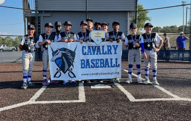 LSBR11's tweet image. Congrats to #LSbaseball's 11U #Cavalry squad. The boys were 4-0, winning their Memorial Day Tournament in Winchester.