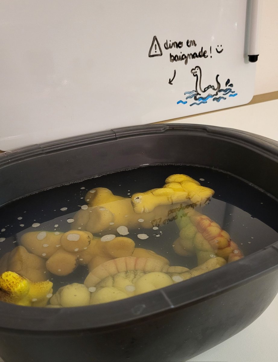 une meuf t'invite chez elle tu tombes sur ça, tu fais quoi ??? (not asking for a friend)