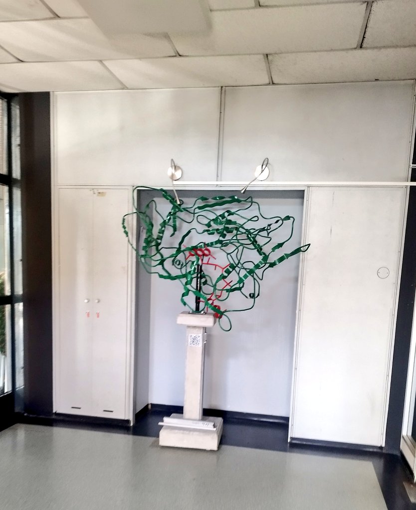judithescrigt's tweet photo. It's been a week since I started here for my PhD stay, last PhS stage 👩🏻‍🔬

Oh and yes, those busts are Novel Prizes! https://t.co/yOM4qM5ovM
