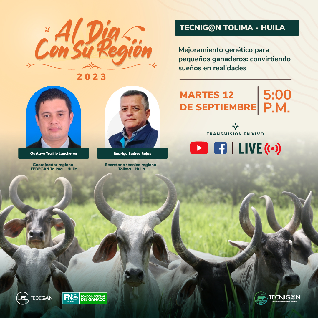 📢 HOY 🌞 ¡Al día con su región! Tecnig@n #Tolima #Huila 🤠

Hablaremos de mejoramiento genético para pequeños ganaderos: convirtiendo sueños en realidades.

⏰ 5:00 p. m.

En vivo a través de YouTube 👉 bit.ly/3Let4Bu

#ConstruyendoGanadería