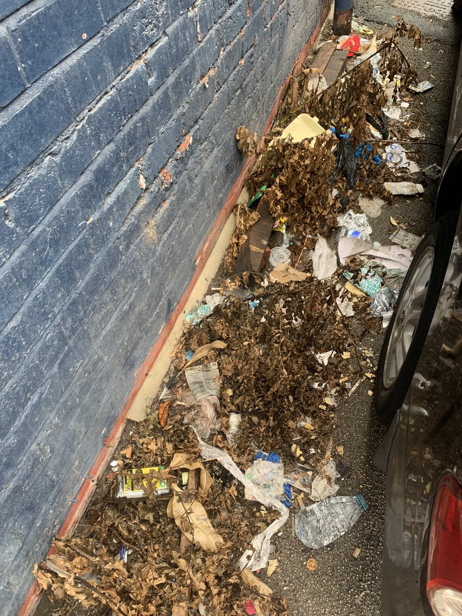 Prints of Thieves tweet media