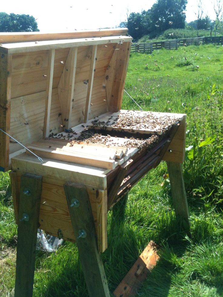 Bee keeping. 

Farmers, do you think this is a profitable venture?