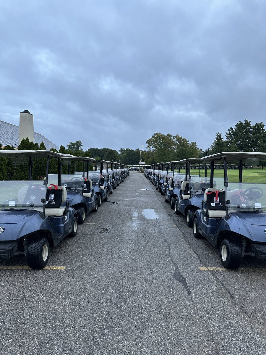 Stray Rescue tweet media