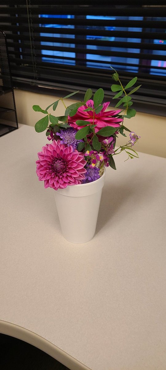 Jessica Priestley, MD PhD tweet media