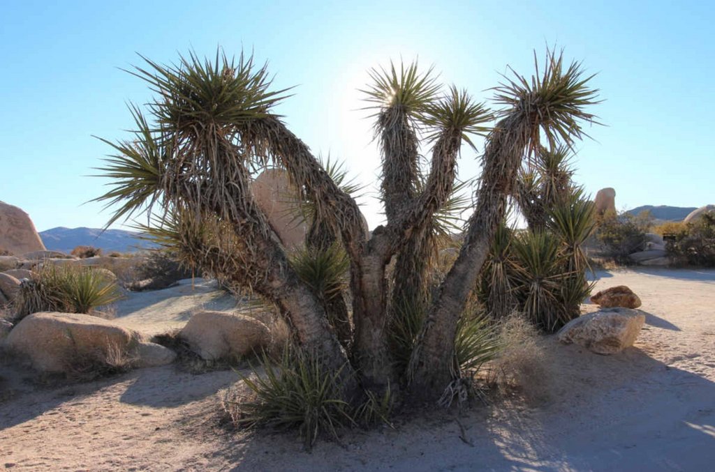 Crazy Family Adventure tweet media