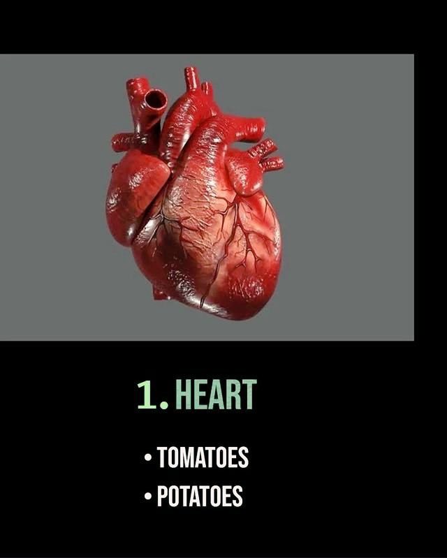 FitLifeSkool's tweet photo. Most important parts of your body and the foods that can help them reach their potential. 🍓🍇🥝🍎🍌🍉🍍🍒

1. Heart https://t.co/fnogrfhXc0