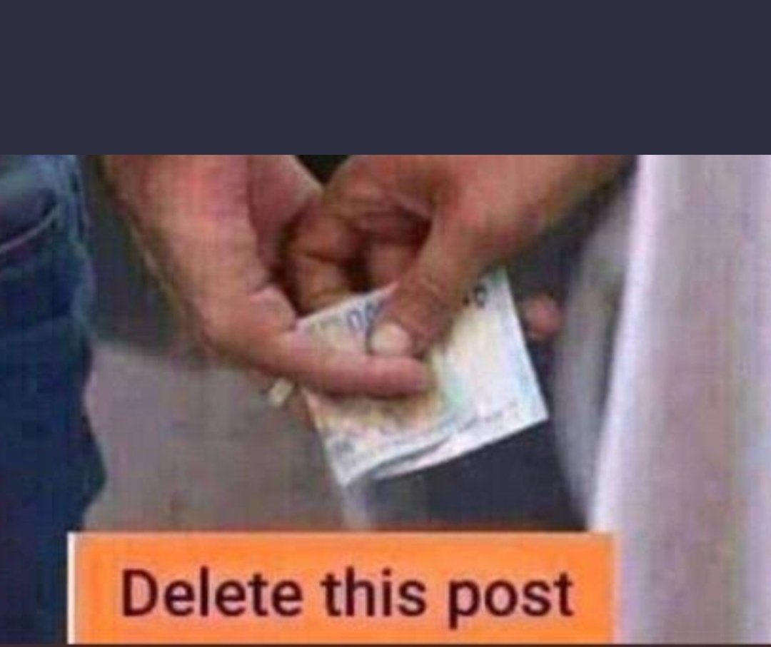 Essay, Assignment, Online Classes tweet media