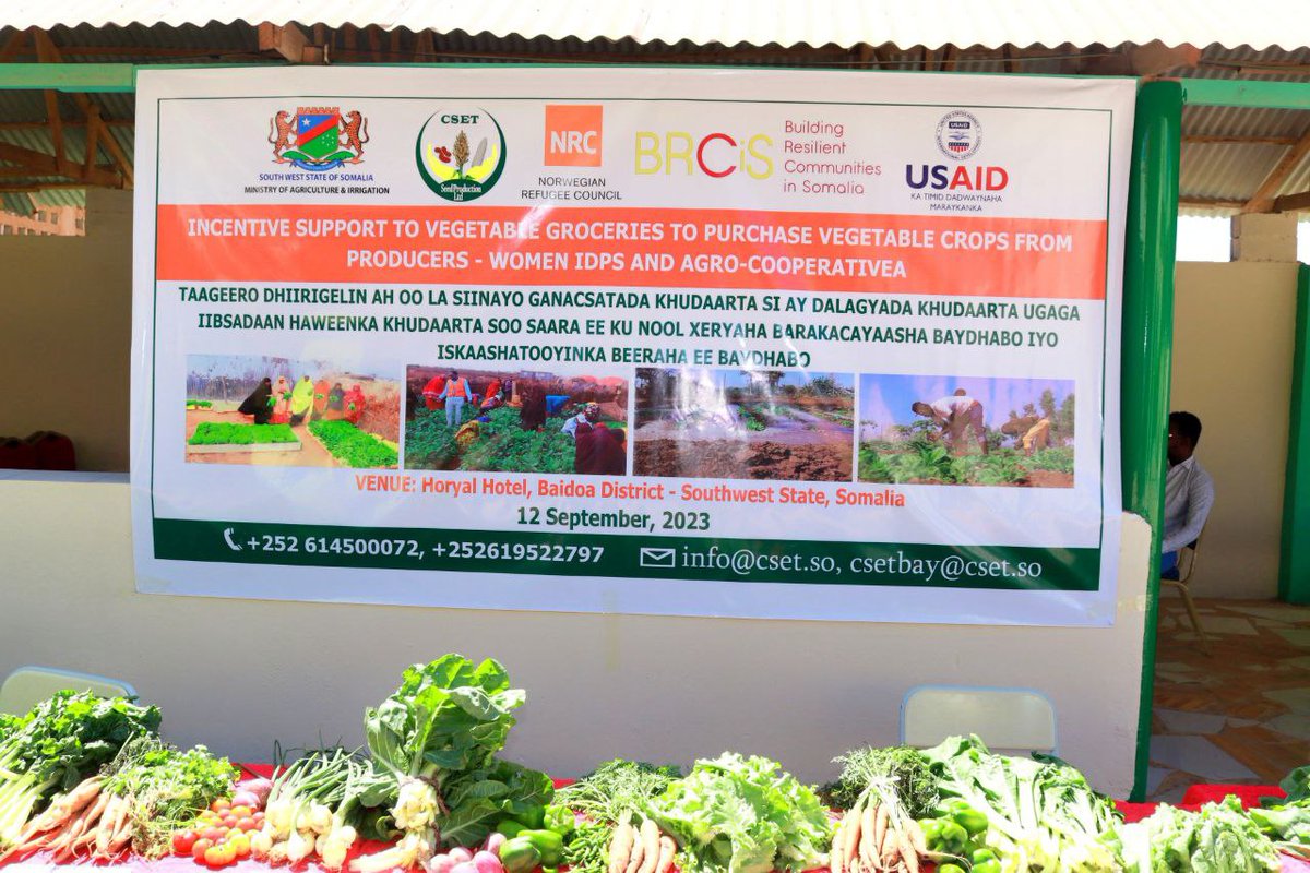 CsetGroup's tweet photo. Linking market actors and groceries to multistorage garden women groups and Agro-cooperatives in Baidoa. @USAIDSomalia @NRC_Norway @DrKhalidOmarA https://t.co/KYj0AnubLM