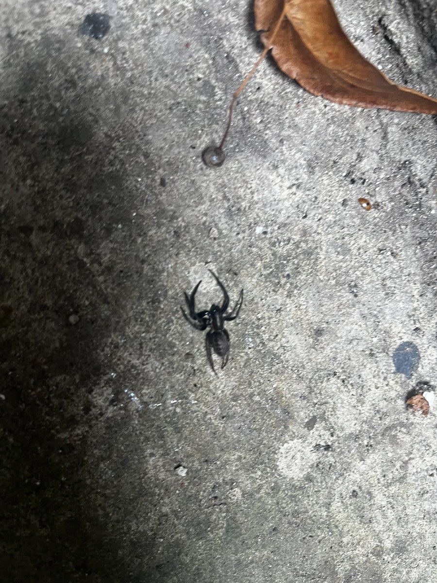 Can someone please tell me what this is? I have been feeling a little uneasy ever since stumbling across it at work this morning.