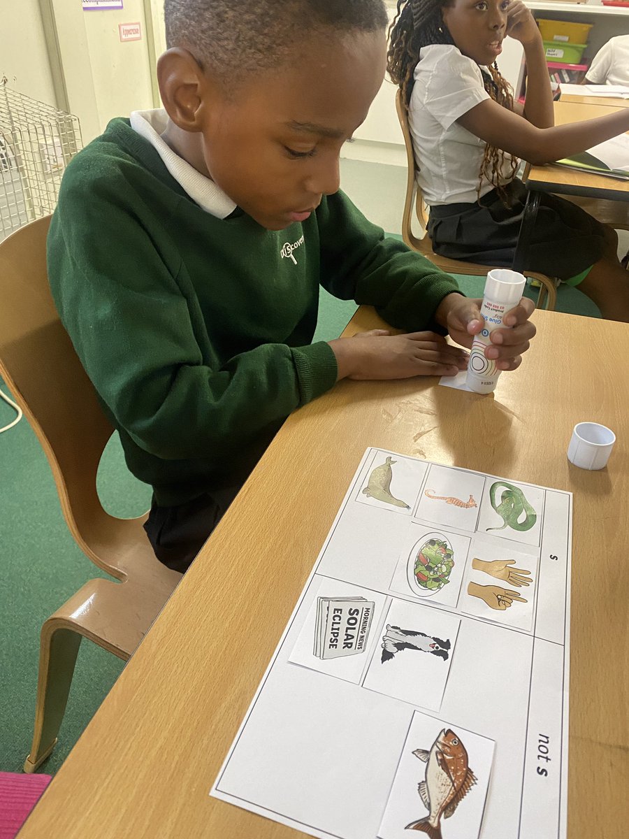 Discovery_Y4's tweet photo. Birdwatching ποΈ: Buzzard, Falcon and Kestrel π¦
In Year 4οΈβ£, the children π§π¦ are working βοΈ very hard in all aspects of their learning and we are so proud of their efforts so far πͺ Letβs do this! π #Year4 #DPS #Hardworkpaysoff #ExploreDreamGrow π± https://t.co/UZ95TWXFhk