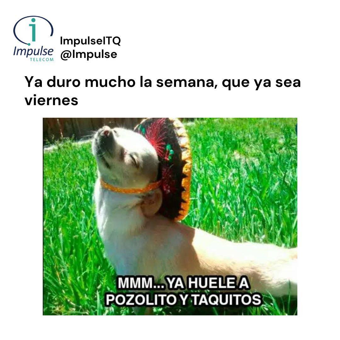 VacantesImpulse's tweet photo. 📷 Martes de memes📷
¿Quién ya esta listo para dar el grito?📷 y comer garnachita 📷📷
#familiaimpulse
#Orgulloimpulse #impulsetelecom #trabajosqueretaro
#martesdeventas
#MartesDeMemes
#diversion #vibrandopositivo https://t.co/1VkIyGApr8