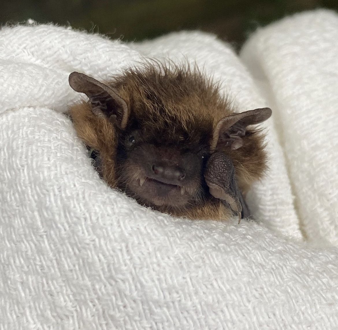 đak (@makko____) on Twitter photo 