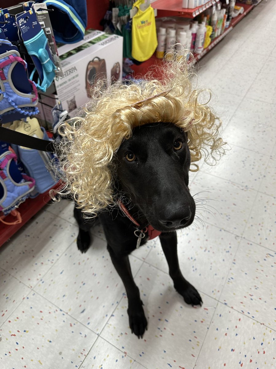 LaTorres Pack tweet media