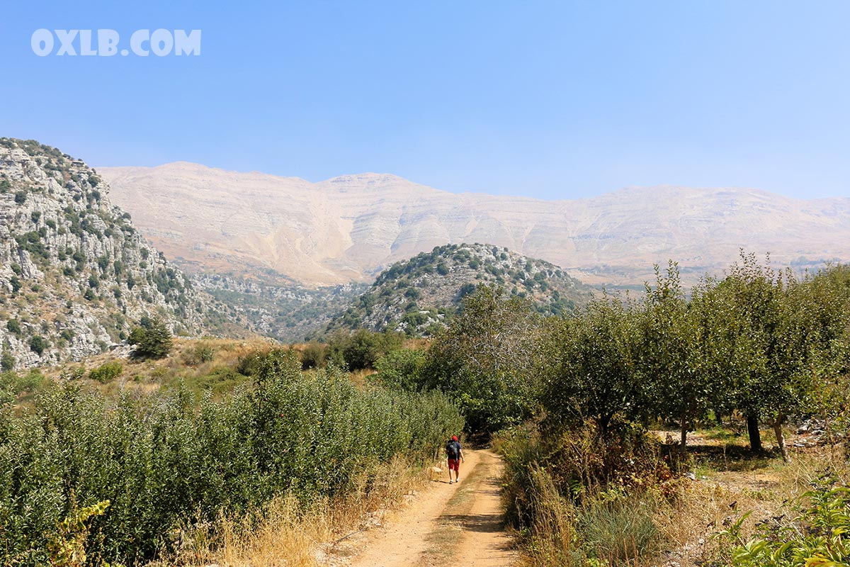 onefineart's tweet photo. Continuing the beautiful hiking of Darb el Adab trail in Baskinta! https://t.co/BQIWMwsypk the mountain in front of you in the sannine mount.

#trail #lebanon #lebanontrail #livelebanon #discoverlebanon #darbeladab #baskinta #mountlebanon #sannine https://t.co/T1FMtKaGnt
