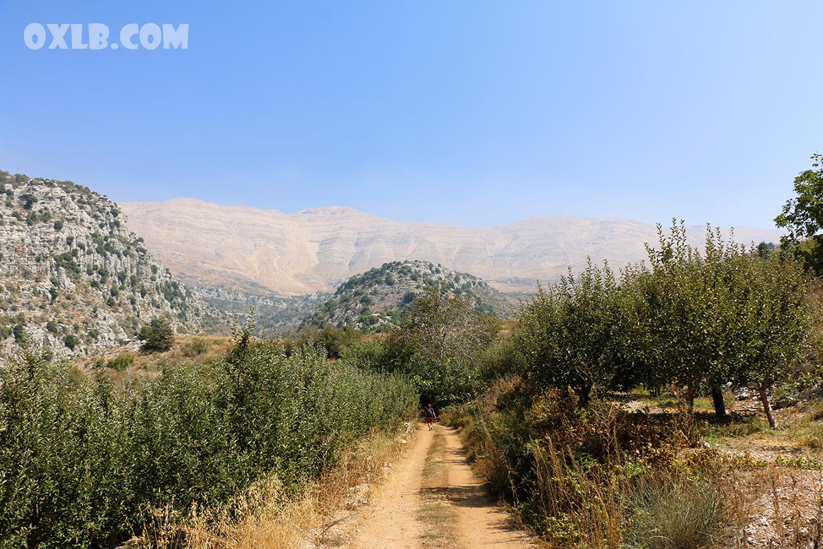 onefineart's tweet photo. Continuing the beautiful hiking of Darb el Adab trail in Baskinta! https://t.co/BQIWMwsypk the mountain in front of you in the sannine mount.

#trail #lebanon #lebanontrail #livelebanon #discoverlebanon #darbeladab #baskinta #mountlebanon #sannine https://t.co/T1FMtKaGnt