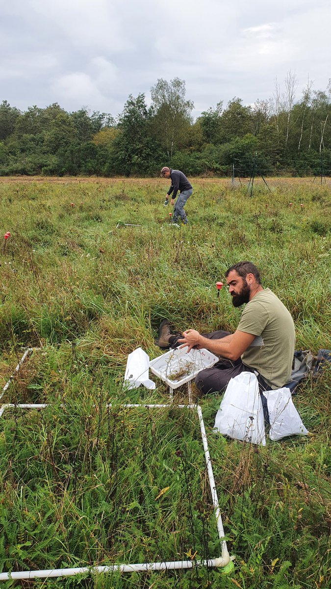 CEREEP-Ecotron IleDeFrance (@cereep_ecotron) on Twitter photo Second day in the rain, feet in the grass collecting plant biomass data with @xraynaud and <a href="/LeGalliard_Lab/">Jean-François Le Galliard 🦎🇺🇦</a> <a href="/iEESParis/">iEES Paris</a>. Some wet envelopes on this Tuesday 🌧🌧🌧 <a href="/DragnetGlobal/">DragNet Global</a> <a href="/NutNetGlobal/">Nutrient Network</a> Second day in the rain, feet in the grass collecting plant biomass data with @xraynaud and <a href="/LeGalliard_Lab/">Jean-François Le Galliard 🦎🇺🇦</a> <a href="/iEESParis/">iEES Paris</a>. Some wet envelopes on this Tuesday 🌧🌧🌧 <a href="/DragnetGlobal/">DragNet Global</a> <a href="/NutNetGlobal/">Nutrient Network</a>