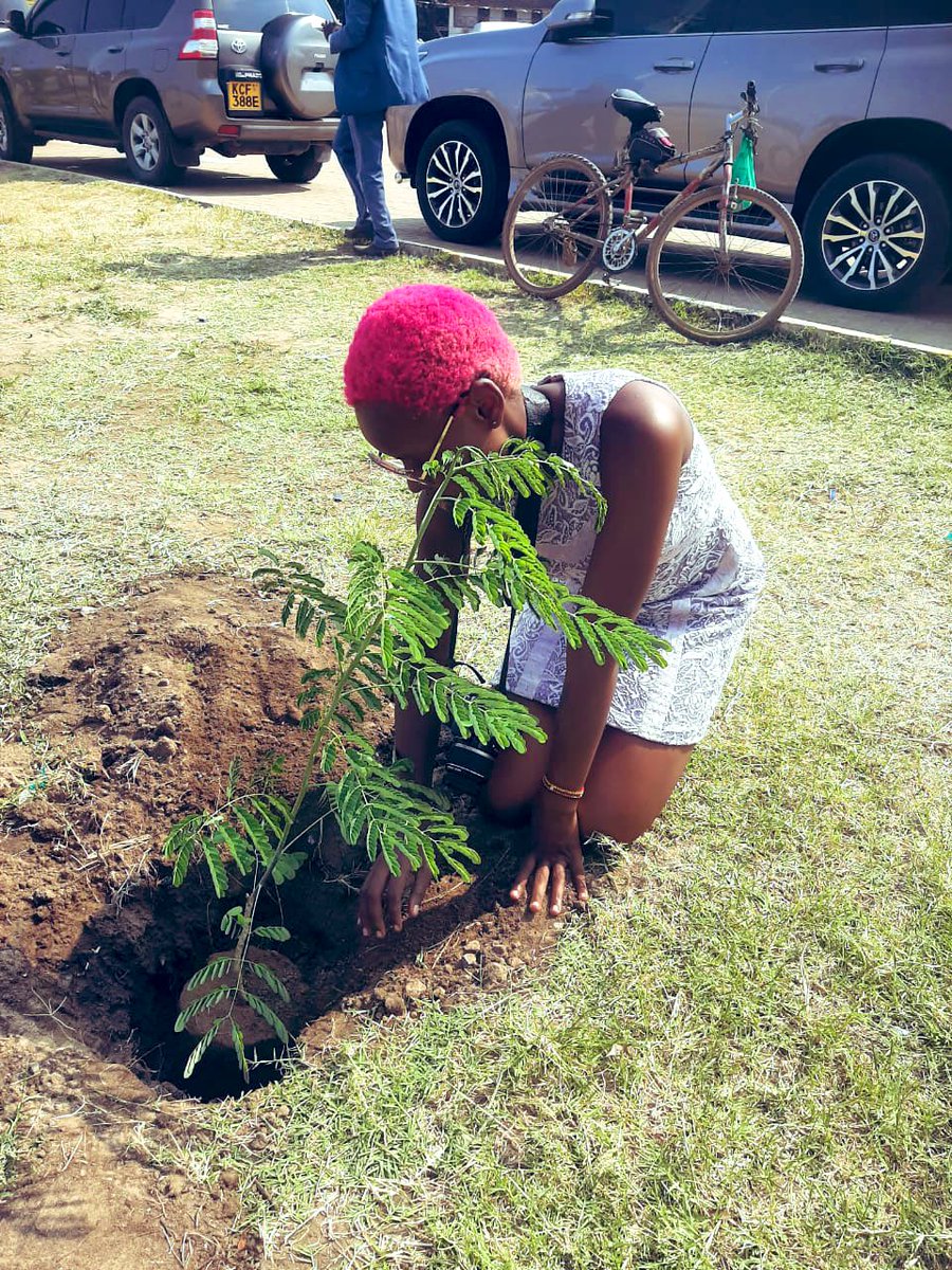 The team keeps fostering ahead. A day without tree planting ain’t complete, we continue calling back the rains. #onemilliontrees4kilifi